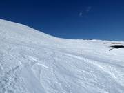 Fuori pista Svarta Björn