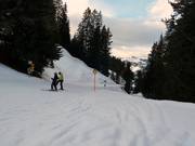 Discesa Parsenn verso Küblis