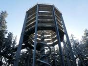 Suggerimento per i più piccoli 