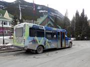 Bus navetta da Banff all’area sciistica Mt. Norquay