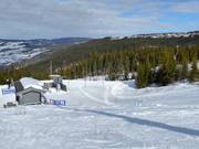 Backyardheisen (N) - Skilift a piattello