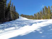 Pista intermedia Crazy Canuck