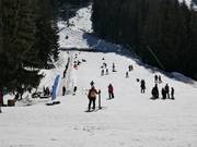 Area di esercitazione con tappeto mobile presso Bunderishka Polyana