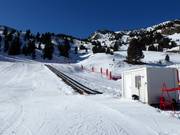 Ampriu Park - Tapis roulant/Tappeto Magico