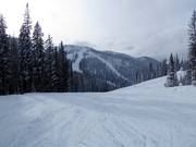 Pista facile nell’area sciistica Whitewater