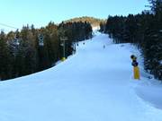 Pista Raut-Vierschach