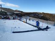 Mount Hotham Carpet 1 - Tapis roulant/Tappeto Magico