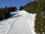 Pista facile Rietboden presso la seggiovia Schabell