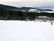 Pista facile presso gli impianti Forsthauslifte