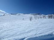 Piste di neve fresca al Kitteldalsliften