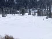 Piste da fondo nel Solitude Nordic & Snowshoe Center