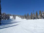 Pista facile Over the Hill