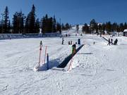 K Magic carpet - Tapis roulant/Tappeto Magico