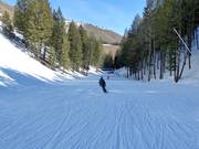 Pista facile Lower Broadway