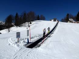 Childrens Park Vogel