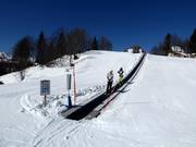 Childrens Park Vogel - Tapis roulant/Tappeto Magico