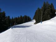 Facile discesa dell’alpe