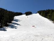 Piste al Pla de la Cot