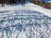Pendio di neve fresca sotto l'Alp Pradame