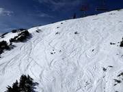 Ampie discese di neve fresca