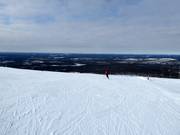 Pista Aurinkokurun Haipakka (n. 43)