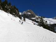 Discesa a valle nera Seealpe