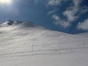 Piste di neve fresca