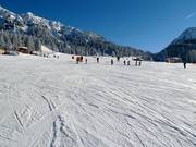 Ampia e facile pista sull'Ehrwalder Alm