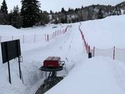 Wildcat Handle Tow - Manovia/Babylift a fune bassa