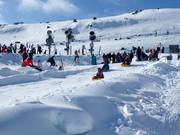 Pista da slittino Alpine Meadow