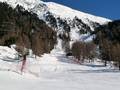 Piste Languard - Pontresina