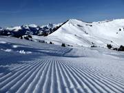 Pista appena preparata