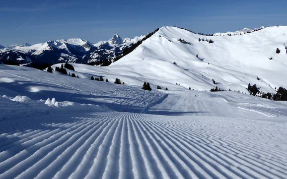 Preparazione delle piste Saanetal – Preparazione delle piste Rinderberg/Saanerslochgrat/Horneggli - Zweisimmen/Saanenmöser/Schönried/St. Stephan