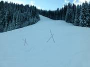 Protezione del manto erboso tramite recinzioni