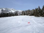 Pista facile presso Drachenlift II