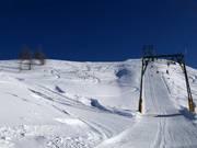 Tracce nella neve fresca