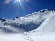 Sogno di polvere in area sciistica libera