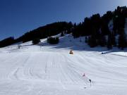 Area principianti molto ben preparata a Geils