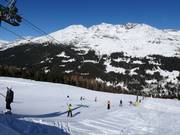 Pista facile allo skilift Tresero