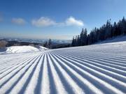 Pista perfettamente preparata nell’area sciistica Mönichkirchen/Mariensee