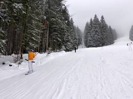 Hirschberglifte - Kreuth