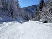 Facile discesa a valle (itinerario sciistico) verso Seegatterl