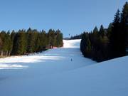 La Kandahar è ripida