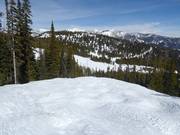 Pista moguls Bobbie's Runout