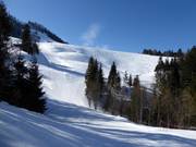 Pista per la seggiovia Steinling-Schlepplift