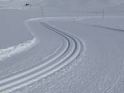 Pista di fondo in quota al Fallbichl