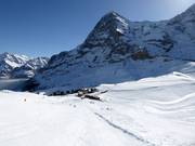 Vista dal Lauberhorn verso la Kleine Scheidegg