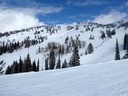 Vista sulle piste presso la seggiovia Blackfoot