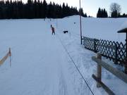 Skilift Rölzhang - Manovia/Babylift a fune bassa