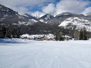 Pista facile Showoff